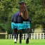 Horseware Amigo Mio Lite Turnout Rug - Black/Turquoise/Black